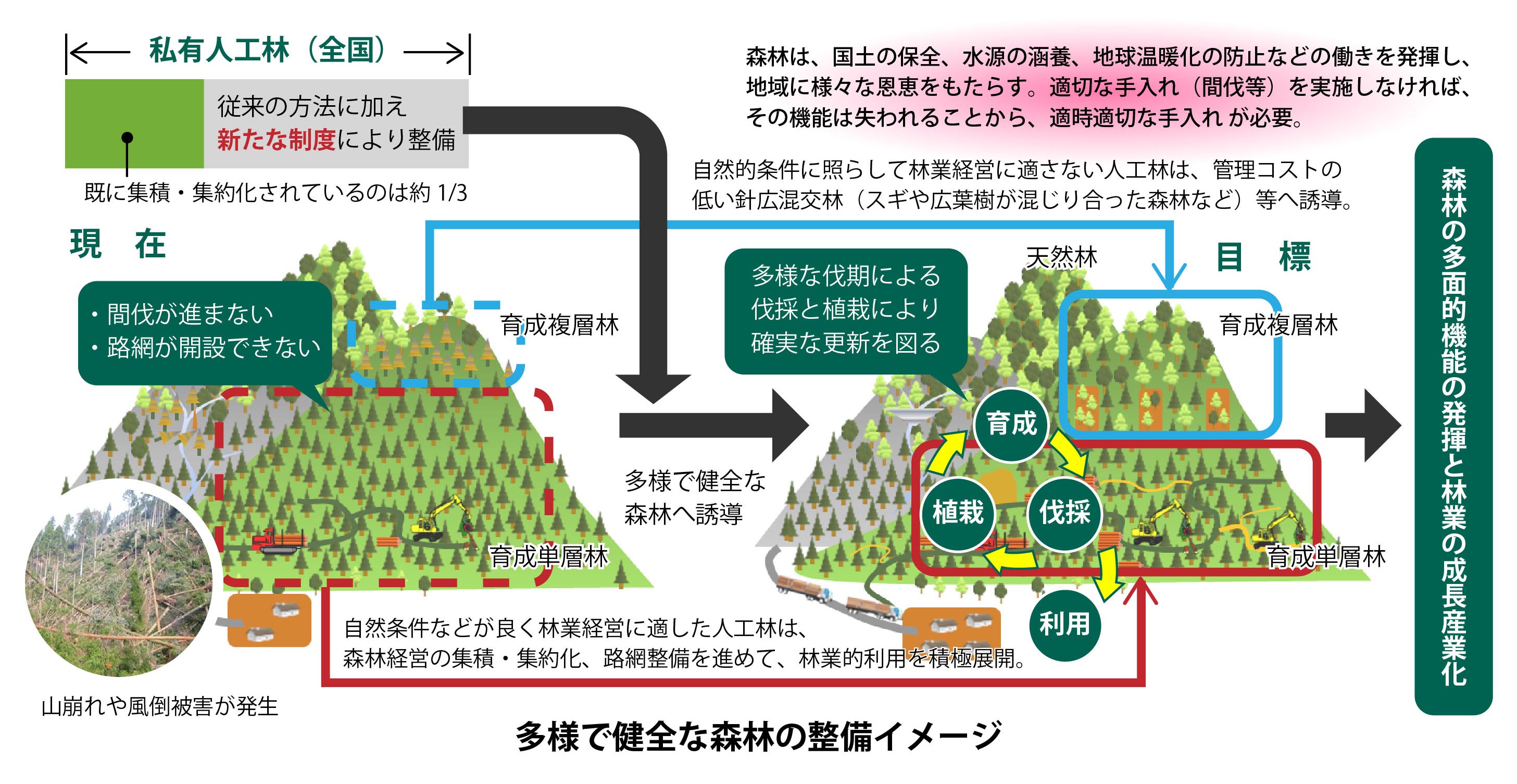 図1